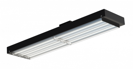 V-lux 40 D – №1